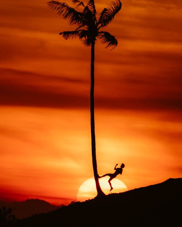 Silhouette of a person in a yoga tree pose against a vibrant sunset.